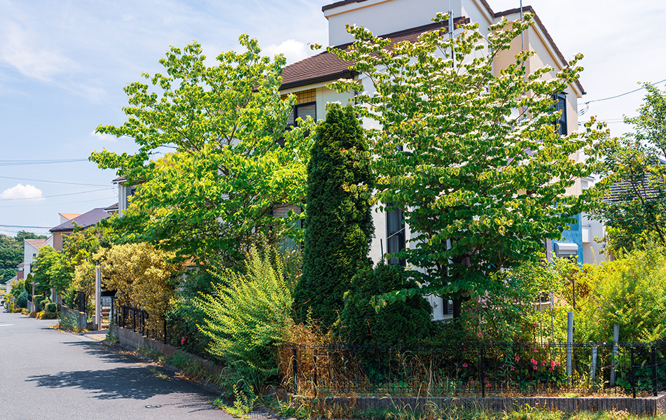 その他・暮らしサポート